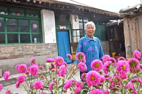 农业攻略 生活技巧 独居秘籍 我独自生活》种地流全方位玩法与实用技巧解析！