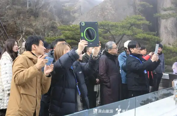 独家爆料 神秘网站技术突破全解，开发者灵感速递 互联网洞见 编程创新】