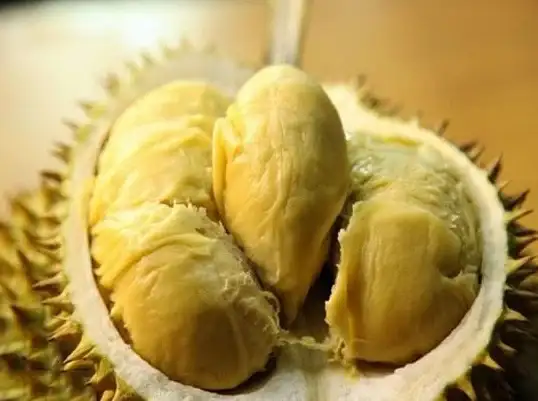 榴莲🍈成熟判断 营养健康 榴莲果皮发黄真相与正确识别方法揭秘