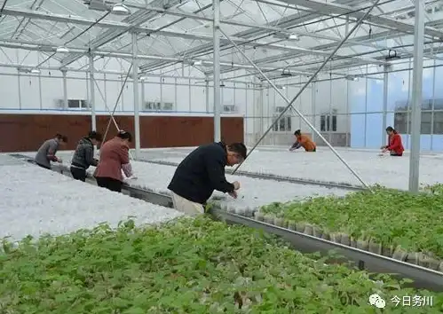 农场🌾攻略🌟秘笈 2025最全农场游戏大全与建造终极指南