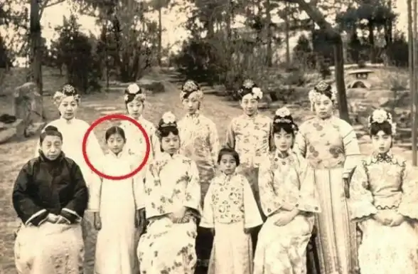 🔥策略宝典】皇帝成长计划2妃子孕率低迷必看养成秘籍