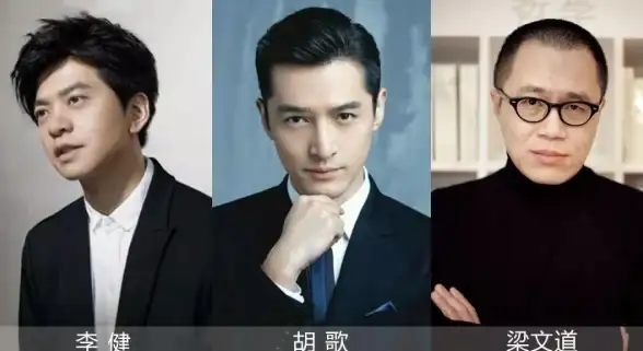 剖析丨高效严选：解锁种子搜索源码合规落地新模式 行业技术门槛深度指引