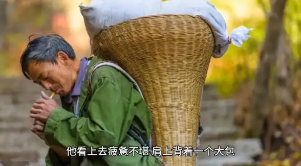 🔥攻略必看🔥绝区零灰波寻求帮助任务全攻略解析