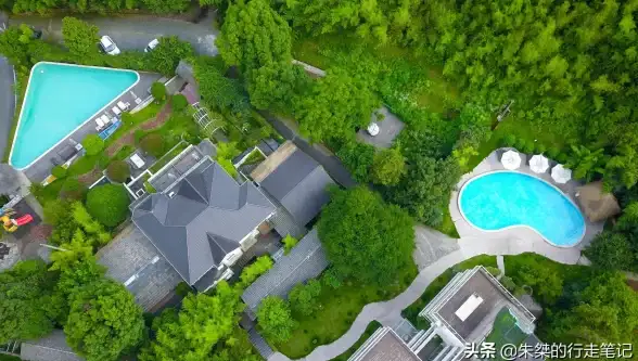 萌宠必看●猫咪攻略●隐藏玩法揭秘●猫之城猫屋全玩法深度解析！