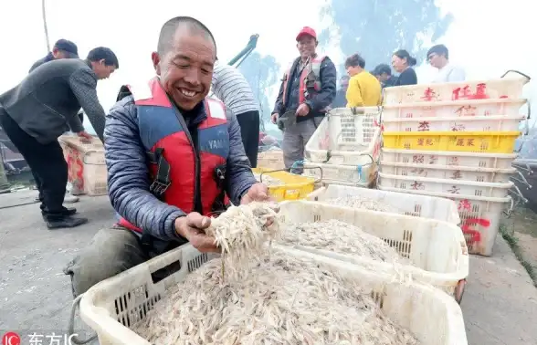 水产养殖🐟小鱼养殖疑难问题详解与科学解决方案推荐