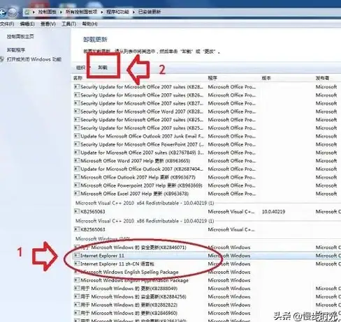 浏览器教程🟢IE卸载📌简单易懂的IE浏览器彻底删除方法
