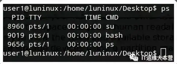 运维管理 操作系统 服务器系统，Windows 和 Linux 哪个更适合企业选择？
