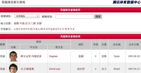 ASPX分页 数据展示优化 如何在ASPX中实现高效的分页功能？