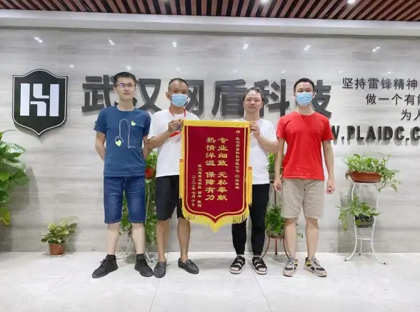 高防云,多线路-江苏扬州高防云方案，多运营商支持安全加倍