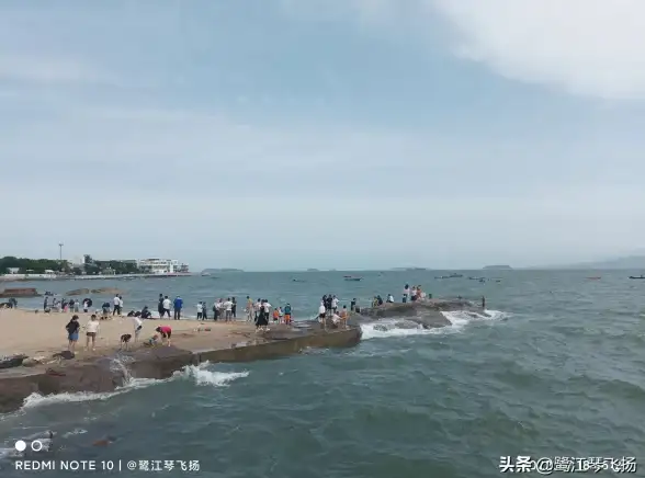 冒险🌴公主连结盛夏真步王国 激情灵魂海滩全新篇章揭秘