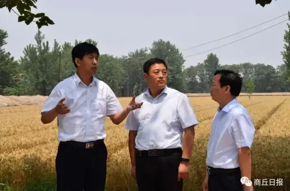 dnf选哪个勋章适合新手快速成长指南