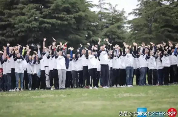 热门🔥游戏 解析 海外热潮揭秘：决胜巅峰受欢迎背后原因
