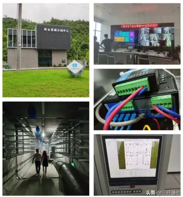 网络管理 信息安全 服务器网络监控软件助力企业保障网络安全与稳定运行