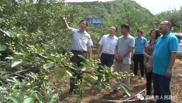 🔥干货｜攻略｜丰收之路：农场资源最大化+全工厂高效开启全解析