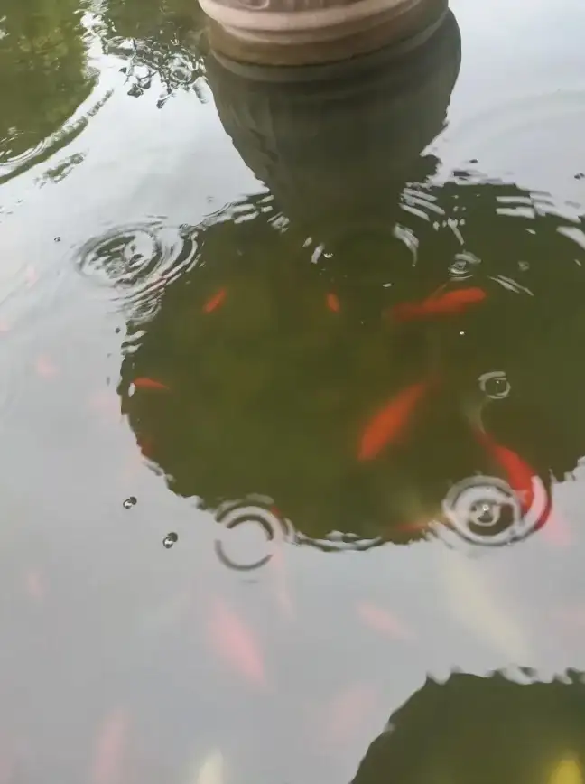 云计算格局突变｜腾讯服务器动态深度剖析—警觉行业新趋势动向！科技速递】