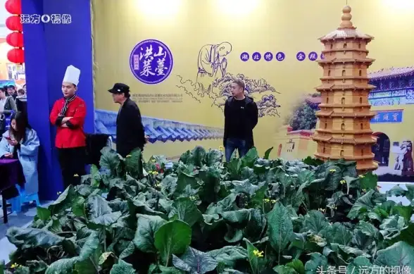🌿生态揭秘🌊珍稀物种⭐我国独特紫菜种类及生态分布大揭秘
