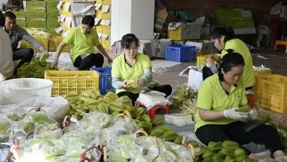 供应链优化 数据可视化中心：如何利用产业链可视化数据中心优化供应链管理