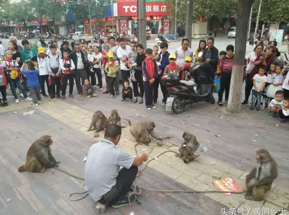 战术攻略📚历史解析《真三国无双 起源》新野之战全面详解