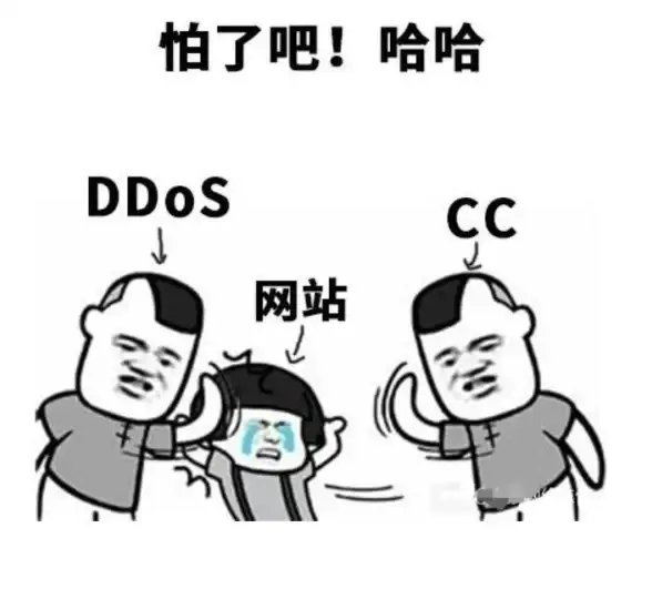 IDC安全,抗DDoS-浙江台州IDC高防服务器需求分析
