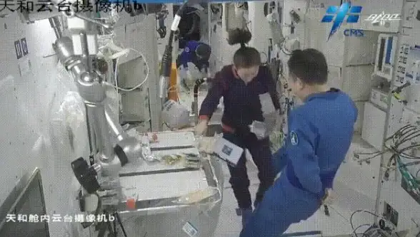 高效办公💻神州笔记本：强劲性能与轻薄机身，满足你的多元需求