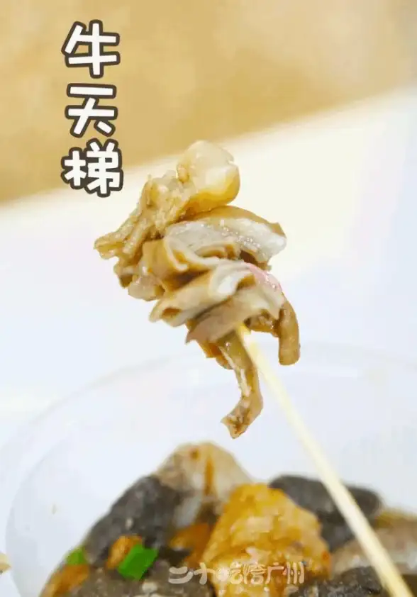 电竞荣耀🏆至强天梯图：顶尖玩家问鼎巅峰荣耀之战
