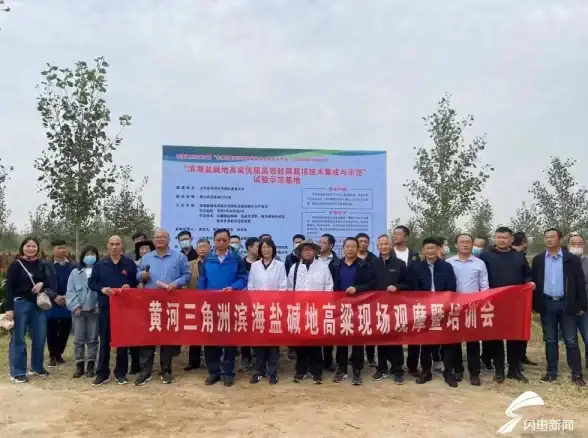 植物大战僵尸杂交版挑战模式第74关植物搭配与阵容推荐