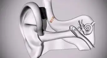 音频转换 音乐格式转换器：一键切换音频格式，畅享高品质听觉体验