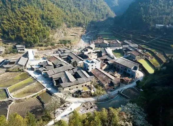 手机故障🔹网络失联｜手机突然无法连接网络的原因及常见断网问题解析