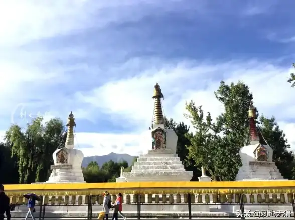 培训提升✨员工成长｜梦境食旅实用训练秘籍