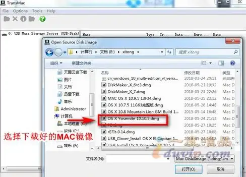 Mac教程🟡dmg文件：新手必看，dmg文件打开方法与常见问题全解析
