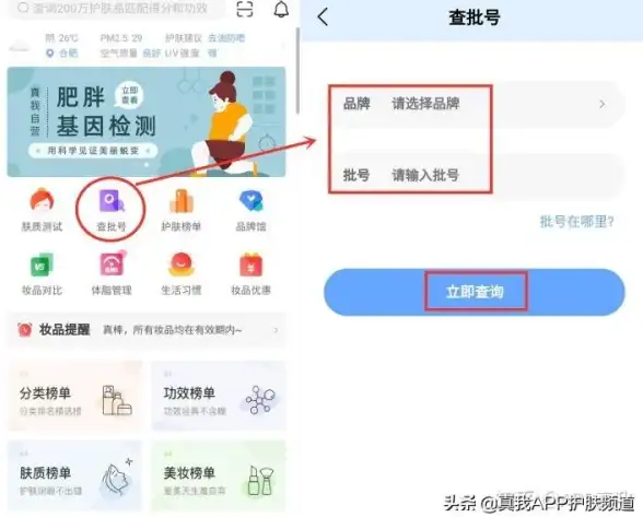 网络技巧🔍Mac地址查询方法全解：mac地址怎么查？详细解析多种查询方式