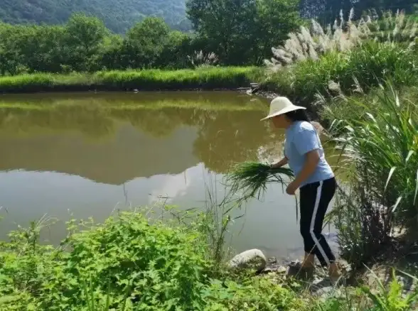 生存技巧▪新人必看▪快速升级 我独自生活》前期高效成长全攻略！