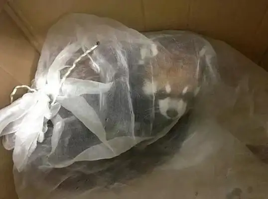 游戏技巧🔰命运困境3全攻略分享有哪些实用秘笈
