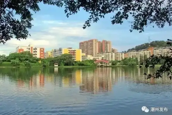 职业成长 4590培训课程详解：打造高效职业发展的能力提升宝典