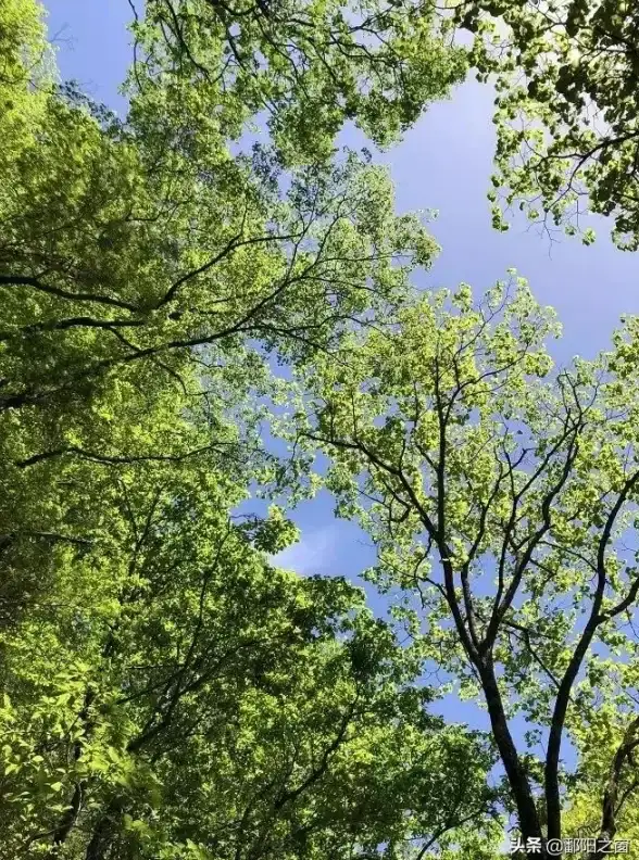 夏日狂欢🔥奇幻冒险🔥海滩秘境 真步王国盛夏庆典公主连结灵魂之旅