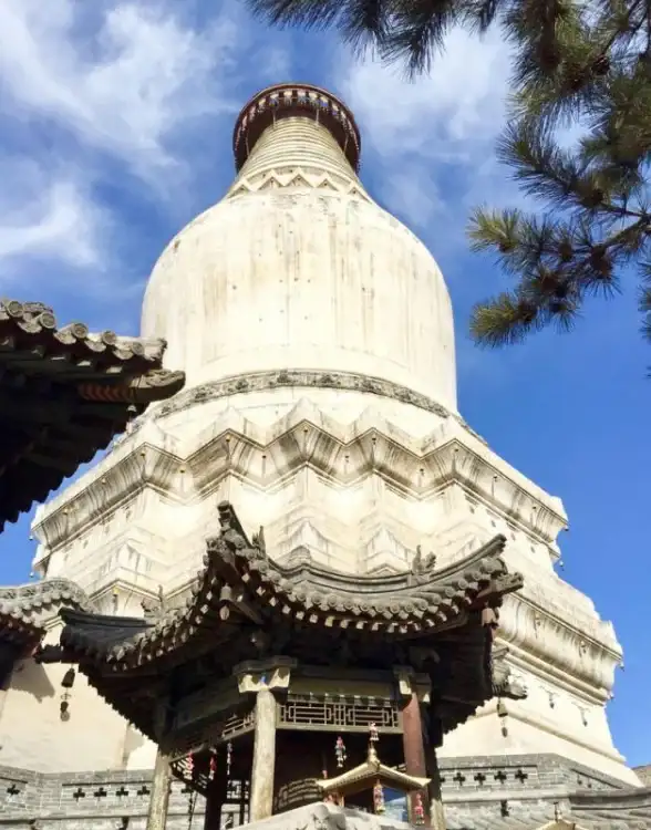 攻略🔥圣境之塔终极特色玩法深度全解析指南
