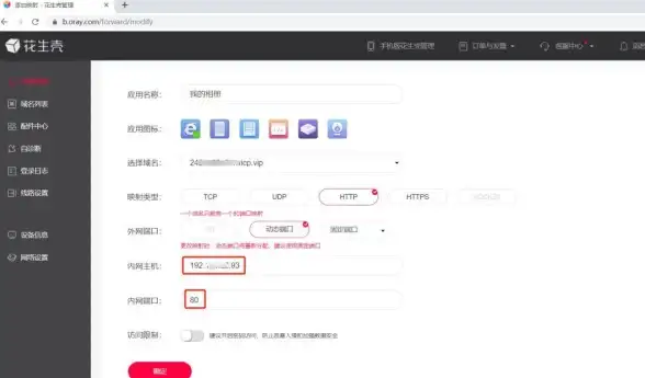 揭秘｜端口诊断新策略—花生壳域名IP解析失败应对方法！网络技术解析】