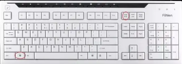 Win11技巧🖼截屏失效怎么办？快速修复方法全攻略