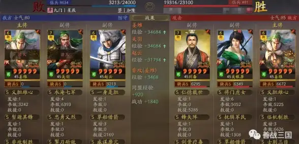 策略秘籍 技能详解 实用搭配 深度解析《三国杀》SP姜维核心机制与最佳组合技巧