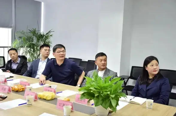 虚拟化 存储优化 服务器虚拟存储性能提升与高效管理策略