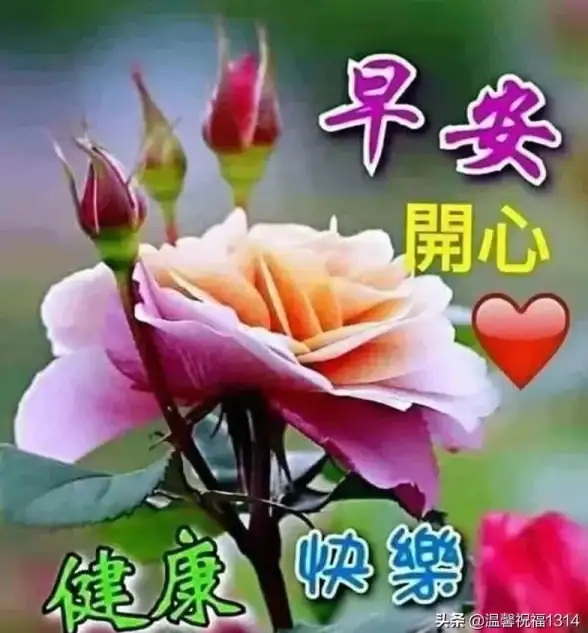 微信技巧🚀群发消息常见问题与解决技巧