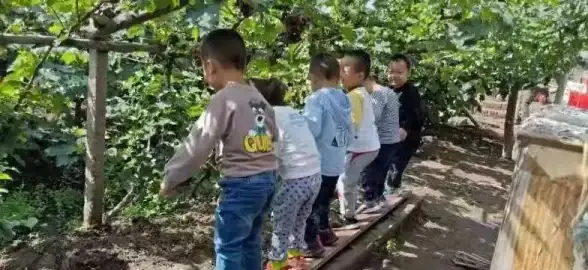 信息防护 数字认证：安全设备身份认证产品服务，如何确保我们的信息安全？