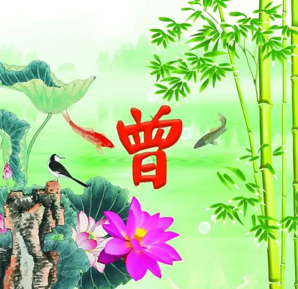 壁纸美化｜视觉盛宴✨炫彩动态壁纸，点亮你的屏幕新体验