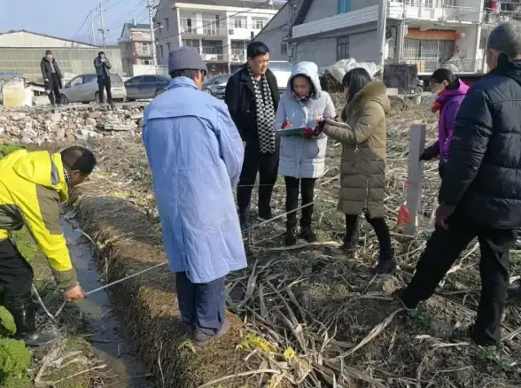 服务器管理 节点迁移指南：如何高效进行服务器节点的转移操作