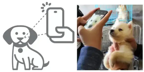 身份识别 系统安全：如何确保安全设备身份认证系统的有效性和可靠性