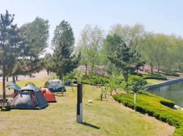 社交必备｜QQ手机版app下载，随时随地畅聊无忧