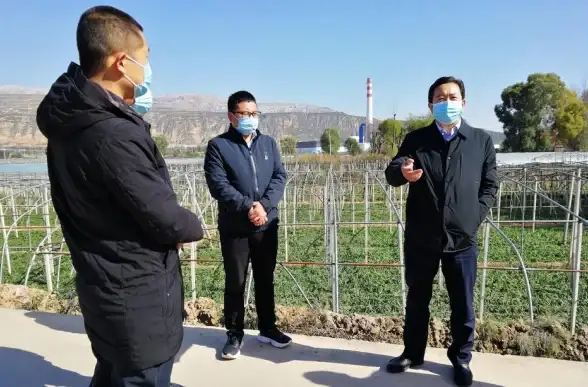 安全防护 咨询效益 如何确保参与安全规划咨询促销活动获得最大安全保障与利益