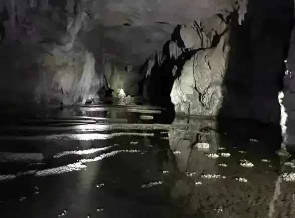 网络速度🚀小鱼科普：什么是上行带宽和下行带宽，如何影响你的网络体验