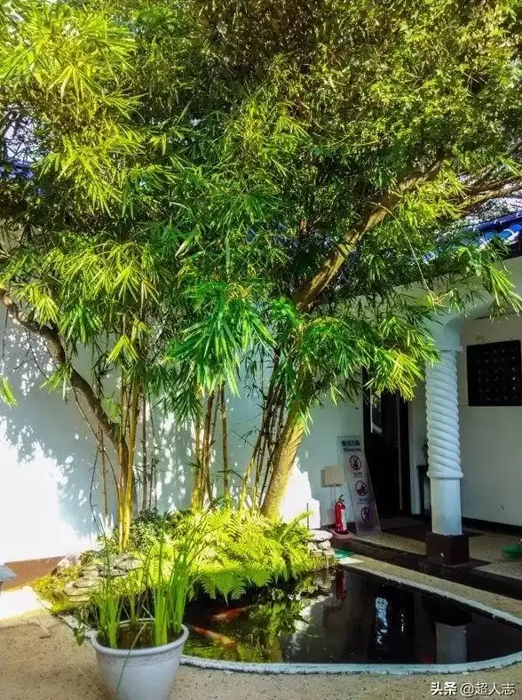 探险🔥游戏🔥夏日 绝美时空绘旅人 测评 夏日特别命运回廊限时卡池推荐