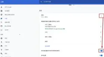 浏览器技巧🚀下载设置—google浏览器下载地址设置详细教程与注意事项